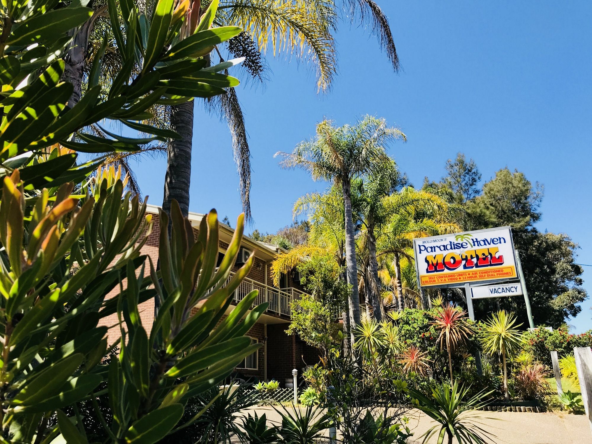 Mollymook Paradise Haven Motel Exteriér fotografie